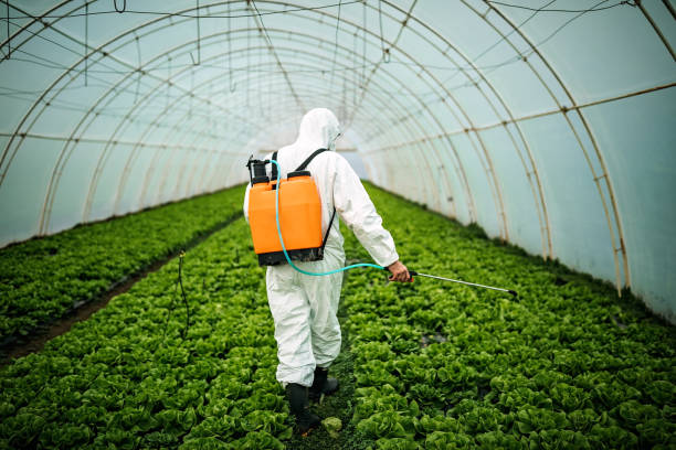 Best Pest Inspection Near Me  in Stratford, WI