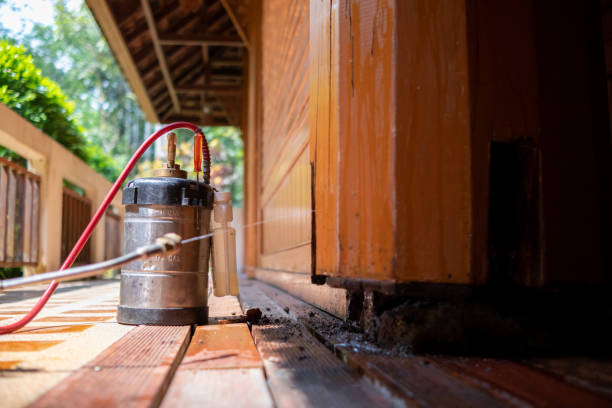 Best Mosquito Control Services  in Stratford, WI