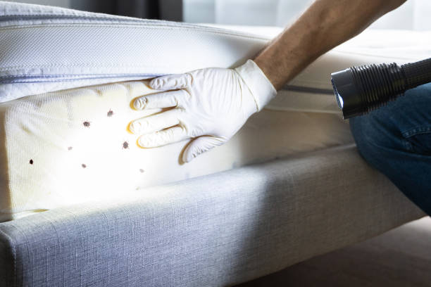 Best Affordable Pest Control Services  in Stratford, WI