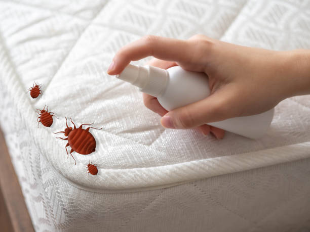 Professional Pest Control in Stratford, WI